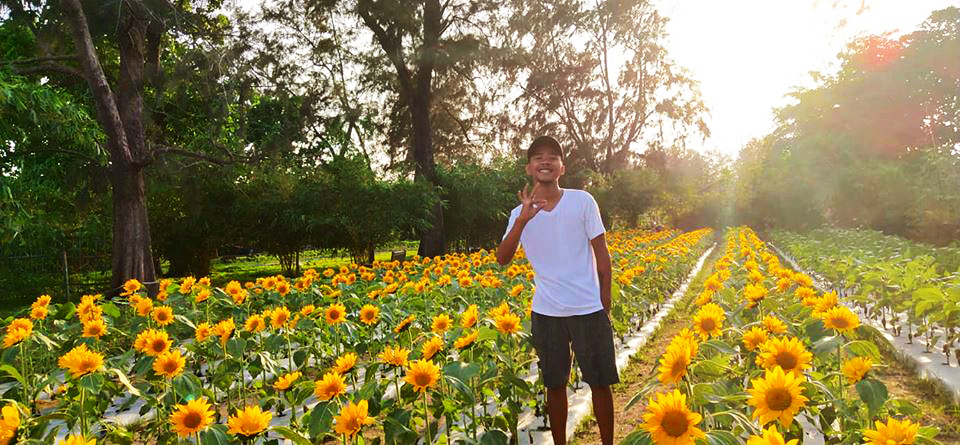 Sunflower Farm Tanay Rizal - Home Alqu