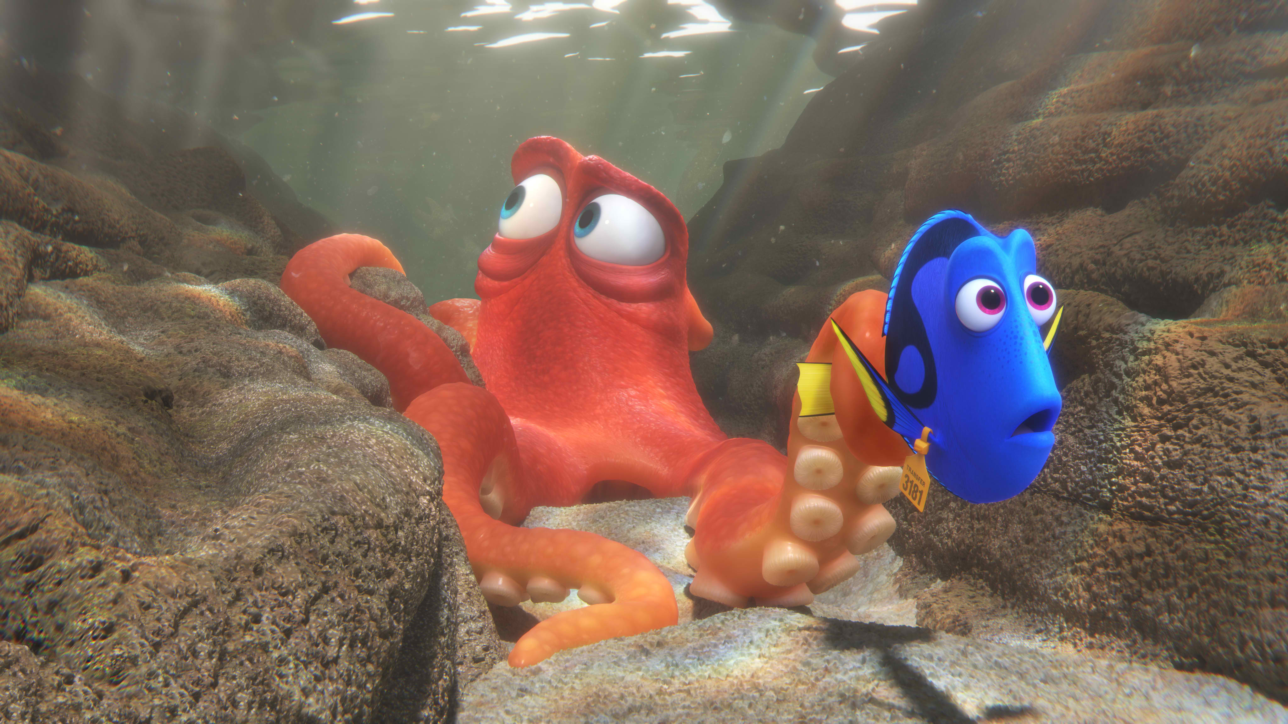 Finding Dory Review Worth The Memory Trip