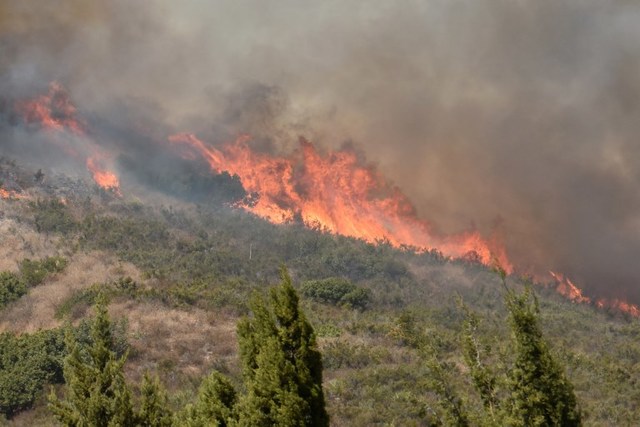 California fires kill 31, deadliest in state's history