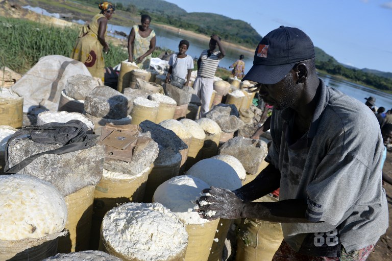 Researchers warn 'Ebola for plants' hitting Africa's cassava crop
