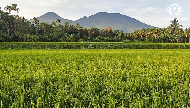 MOUNTAINBACKDROP. Enjoy the view of mountains like Banahaw from Costales' grounds. Photo by Claire Madarang/Rappler 