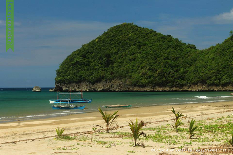 Spotlight On Sugar Beach Sipalay S Sweet Surprise