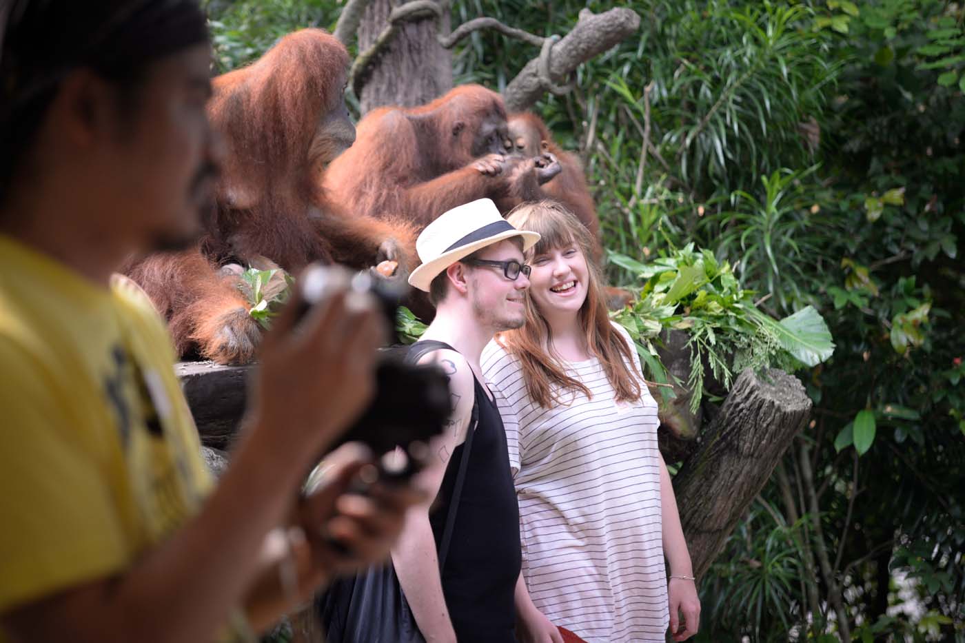 Firsttimer's guide to Singapore Zoo, Night Safari, and more