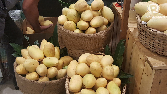 SWEET MANGOES. Mangoes from Guimaras. All photos by Alexa Villano/Rappler unless stated   