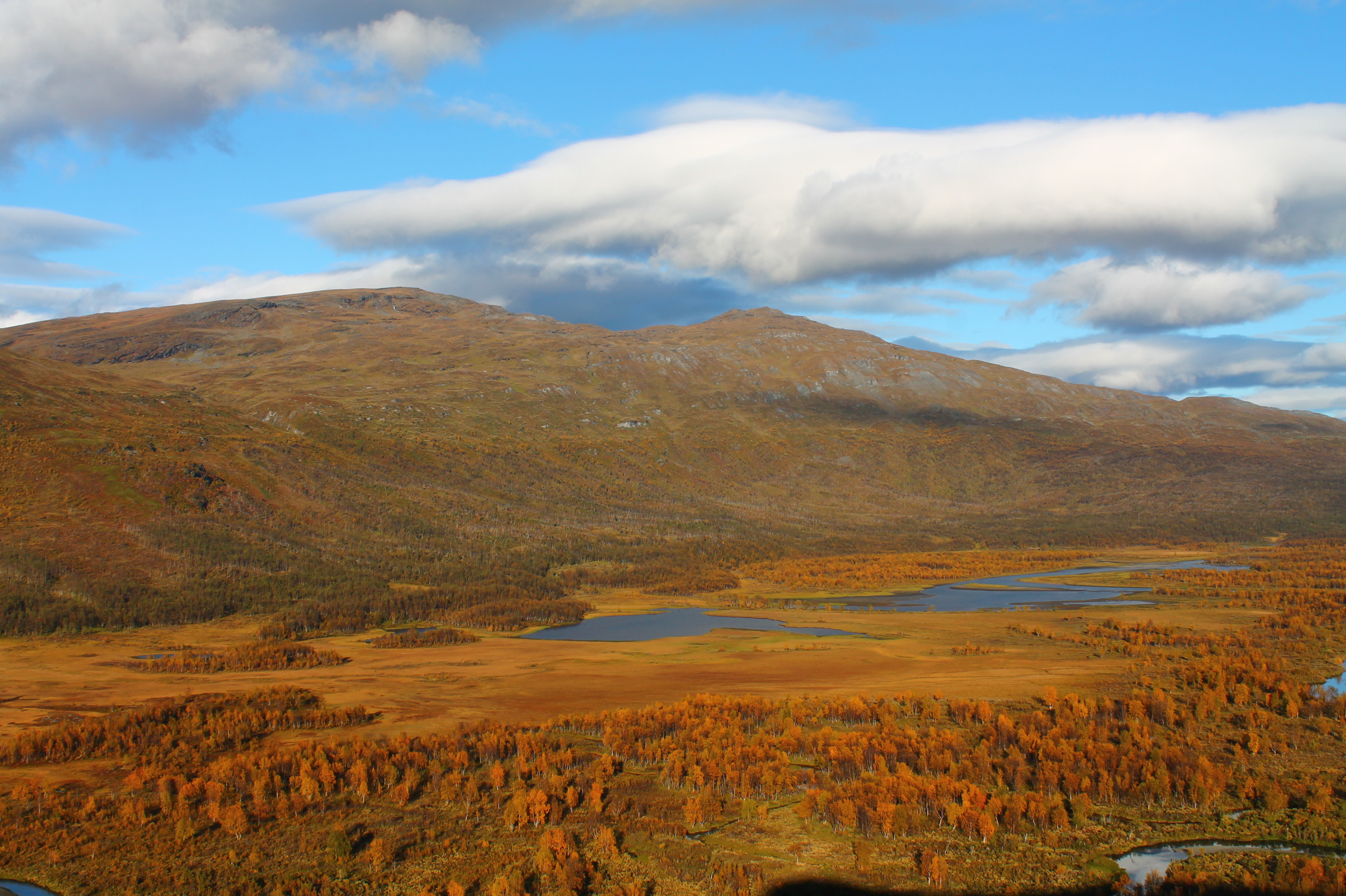 Fall in the Swedish Lapland