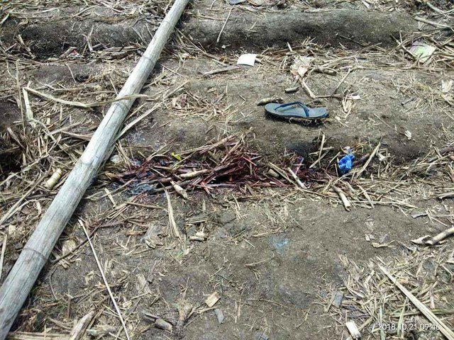 BLOODIED LAND. Gunmen kill 9 farmers occupying a space of Hacienda Nene in Sagay City, Negros Occidental. Photos from PNP Western Visayas 
