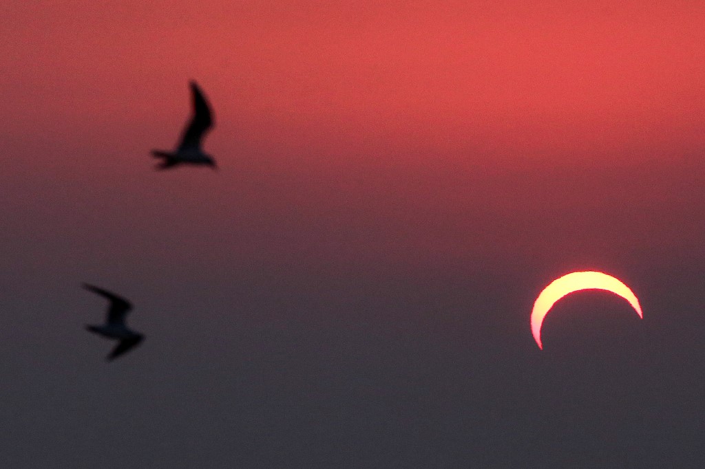 IN KUWAIT. This picture taken early on December 26, 2019, shows seagulls flying above a beach in Kuwait City during the partial solar eclipse event. Photo by Yasser Al-Zayyat/AFP 