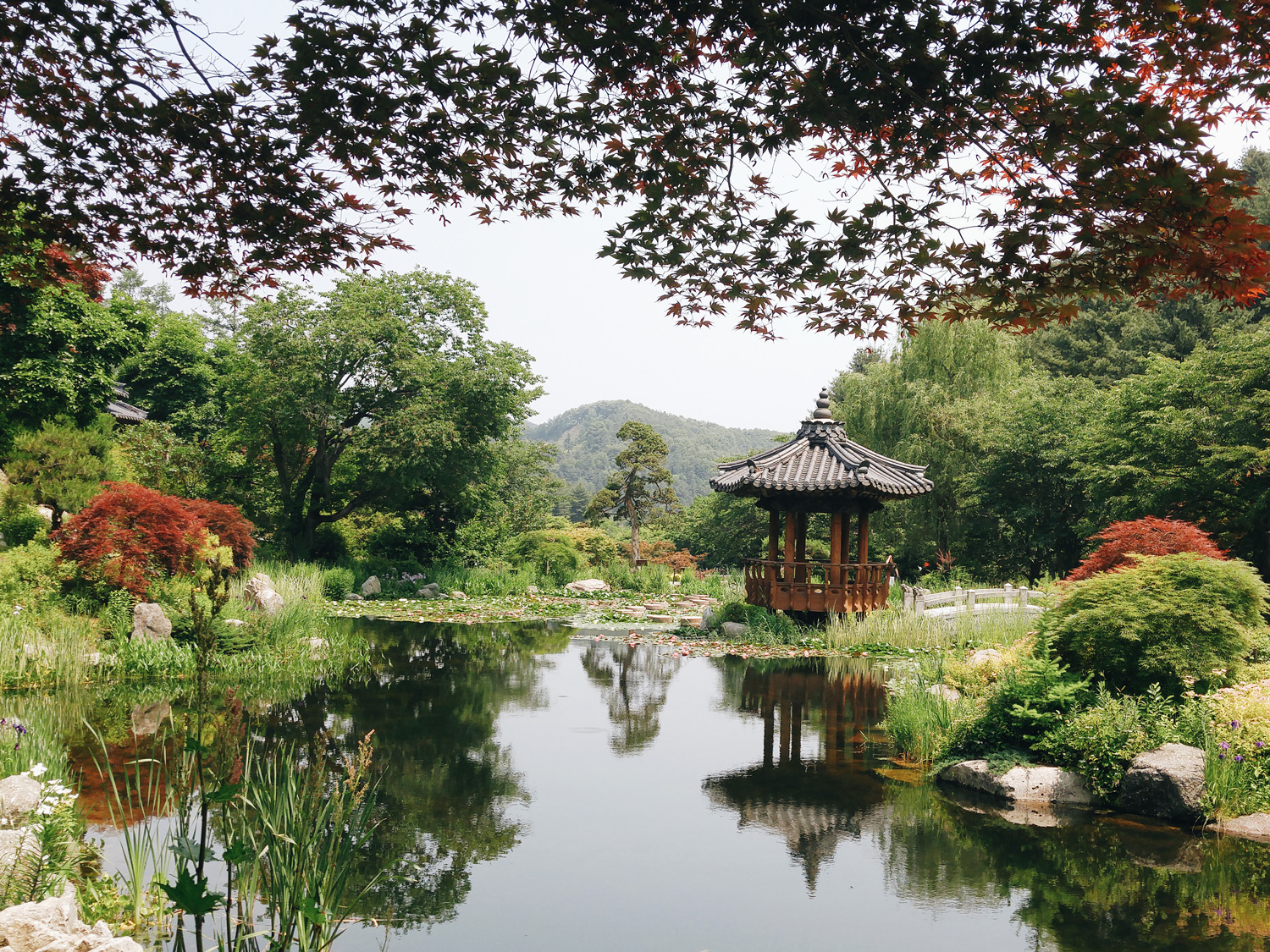 South Korea  beyond Seoul The Garden  of Morning Calm