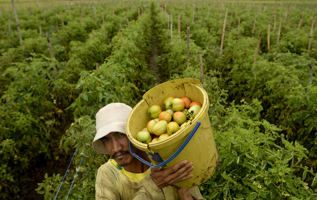 PH drops in 2016 list of countries vulnerable to climate change